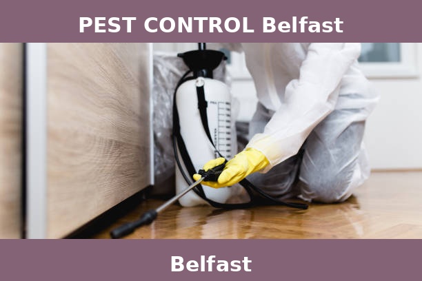 PEST CONTROL Belfast